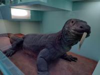 /home//u458753944/public_html/sourcegallery//other/uk 2023/london/IMG_20230920_110442452_HDR.jpg